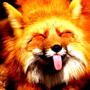 Lici4Ka🦊