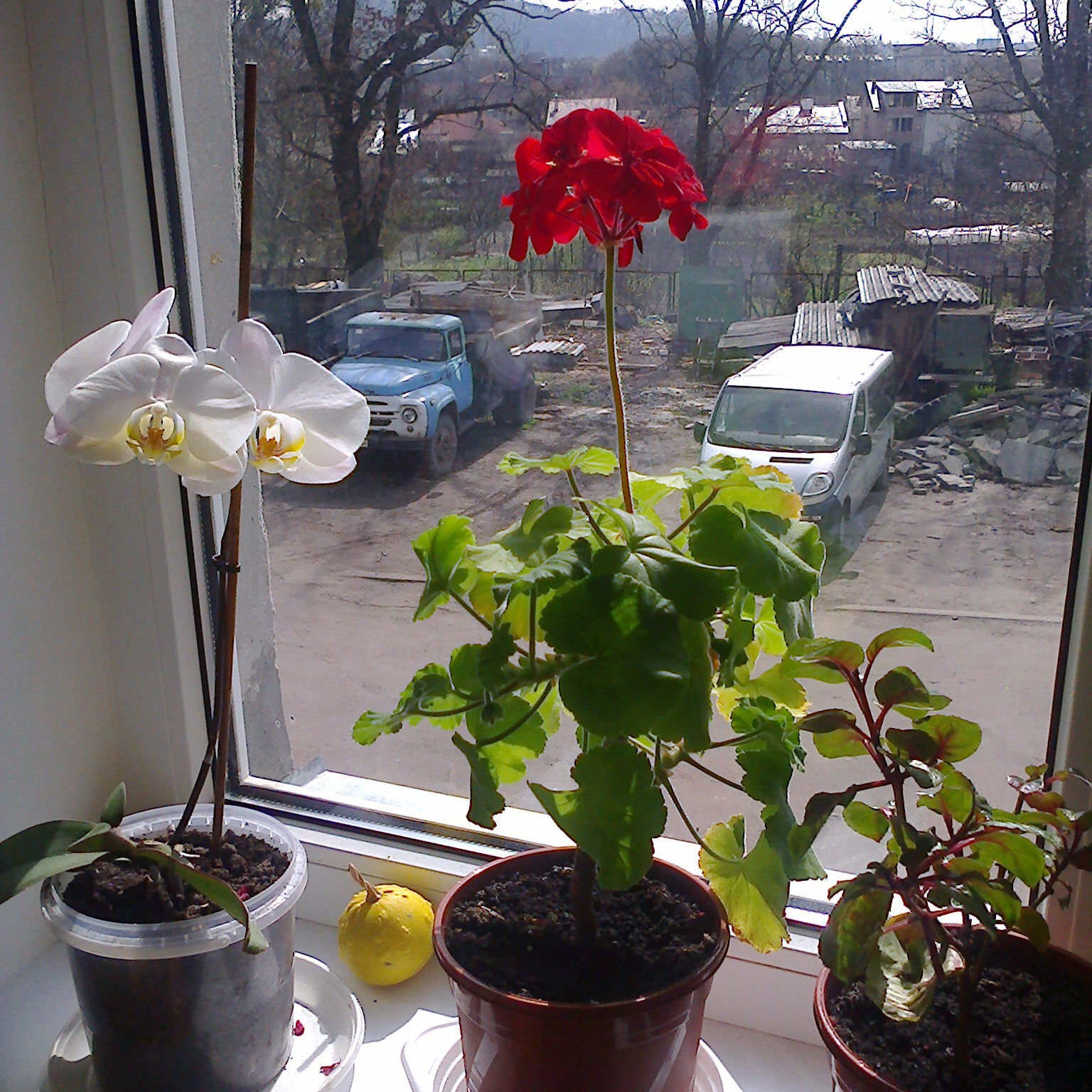 Татьяна Деревач