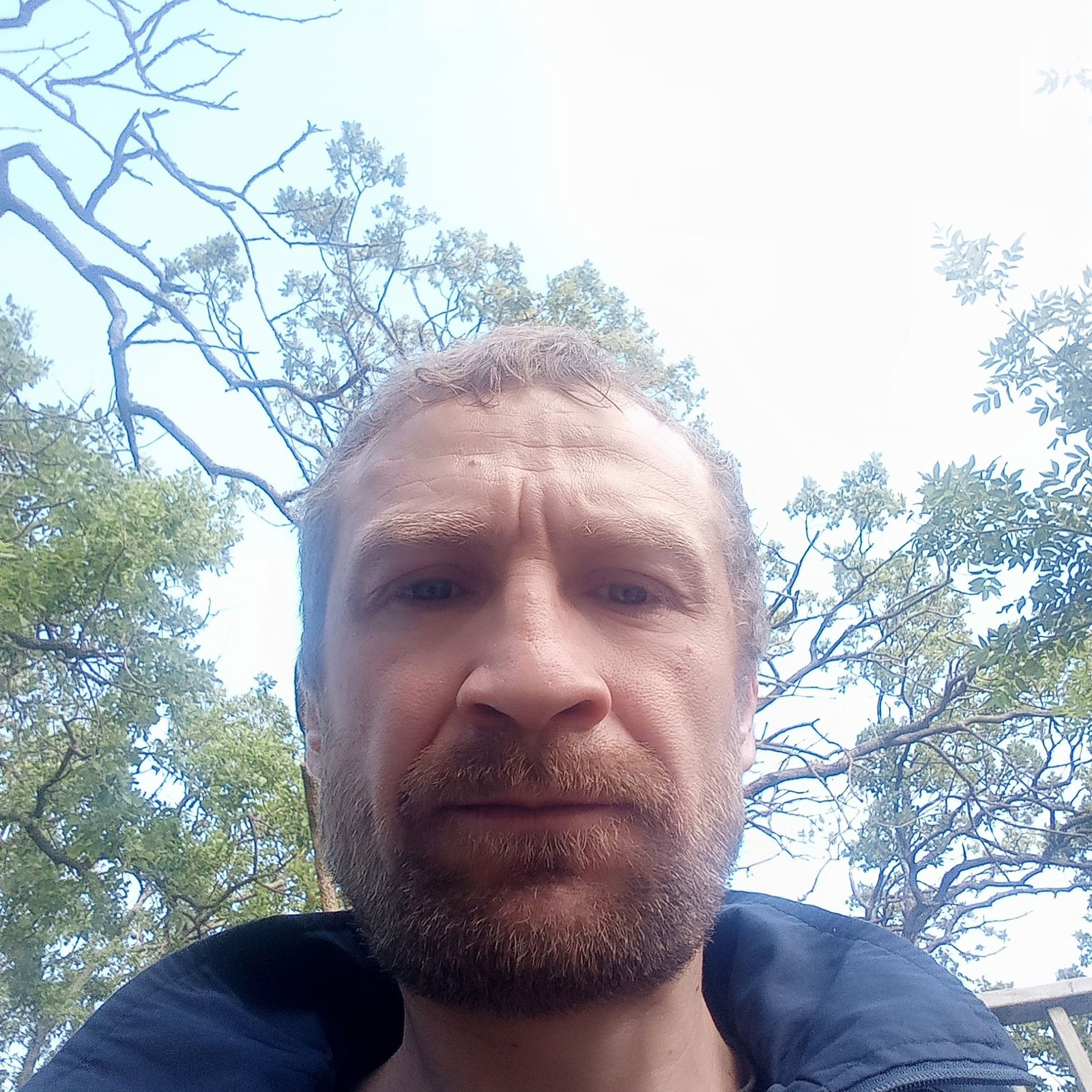 Дима Тарасов