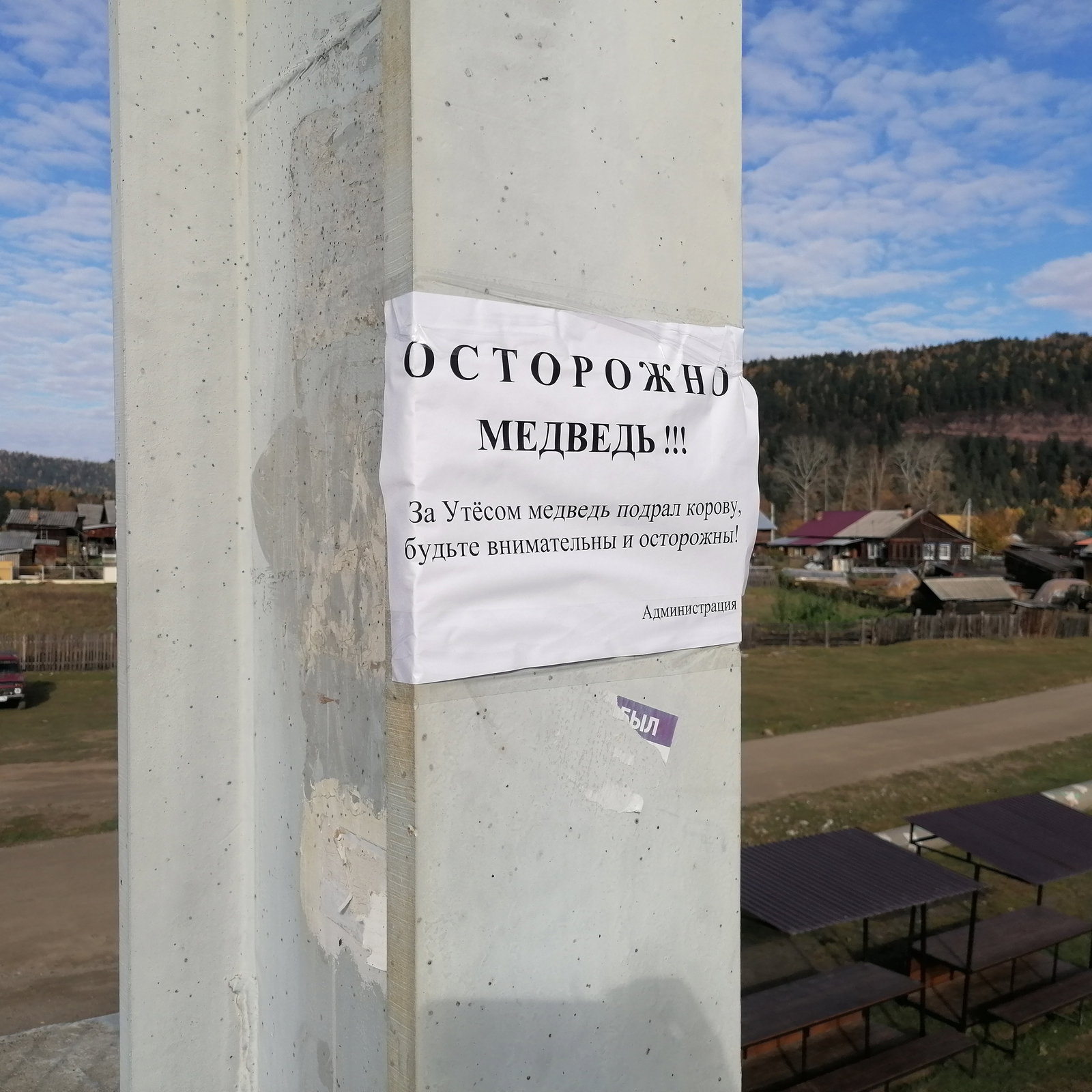 Ольга Дыбина