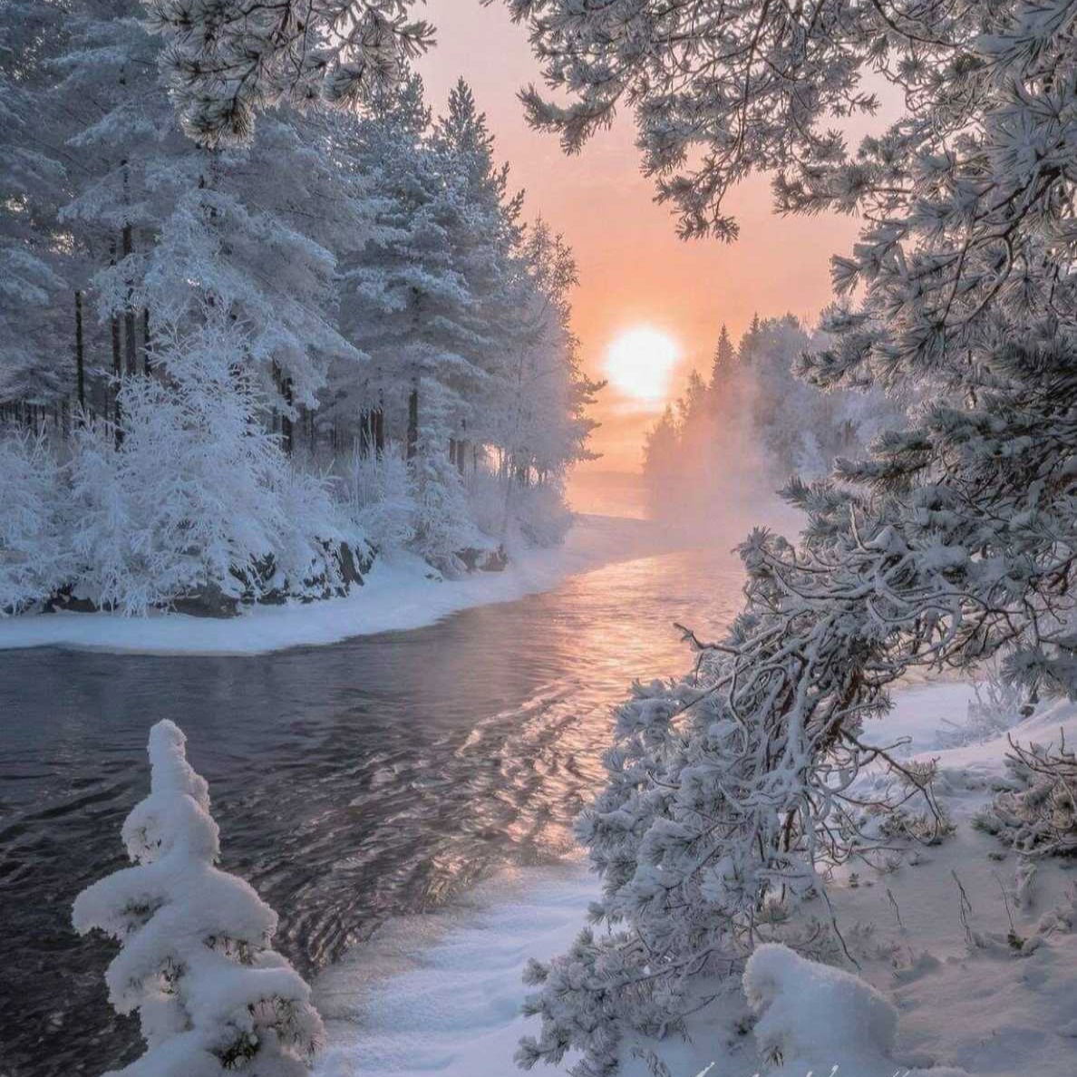 Светлана Плесунова