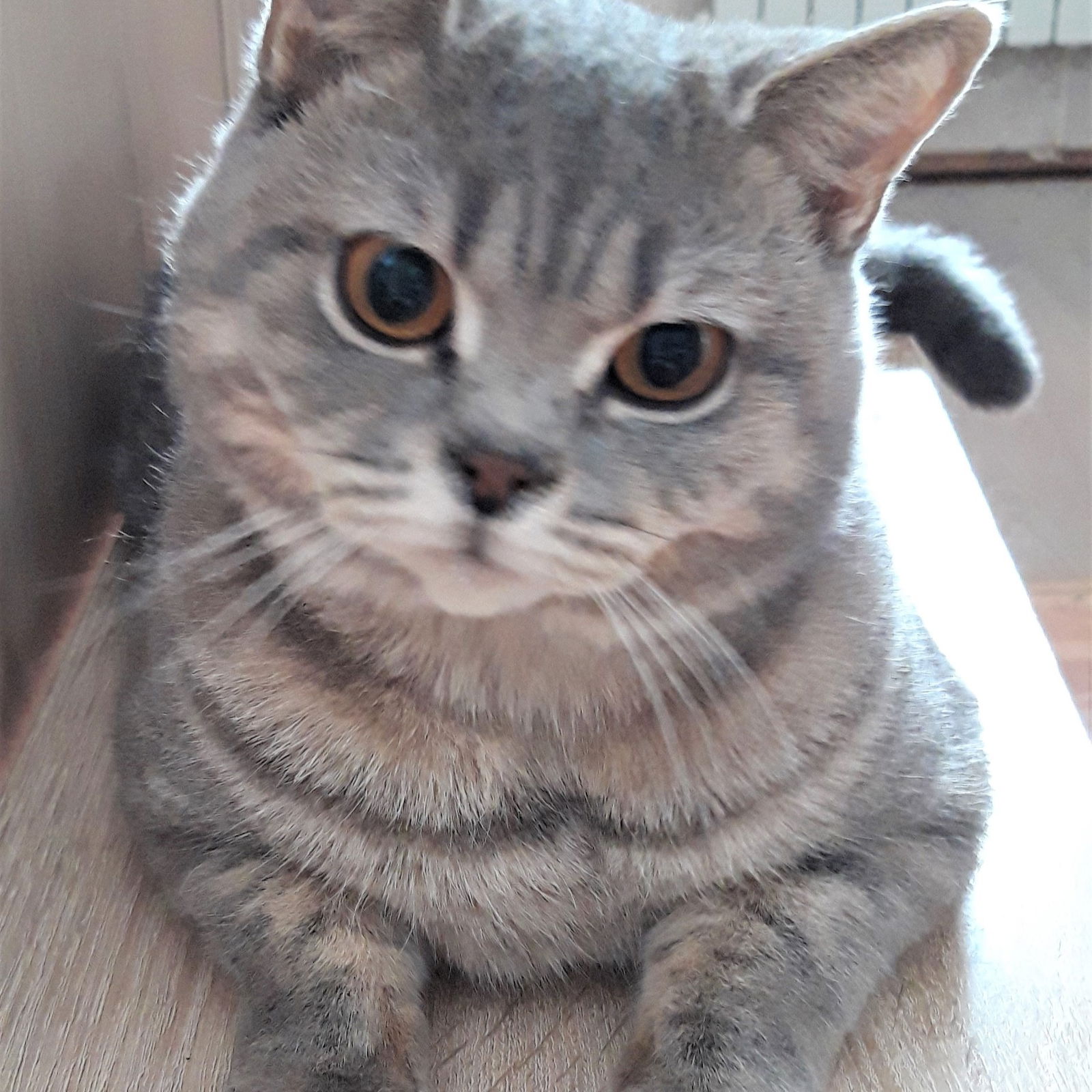 Олег Доровских