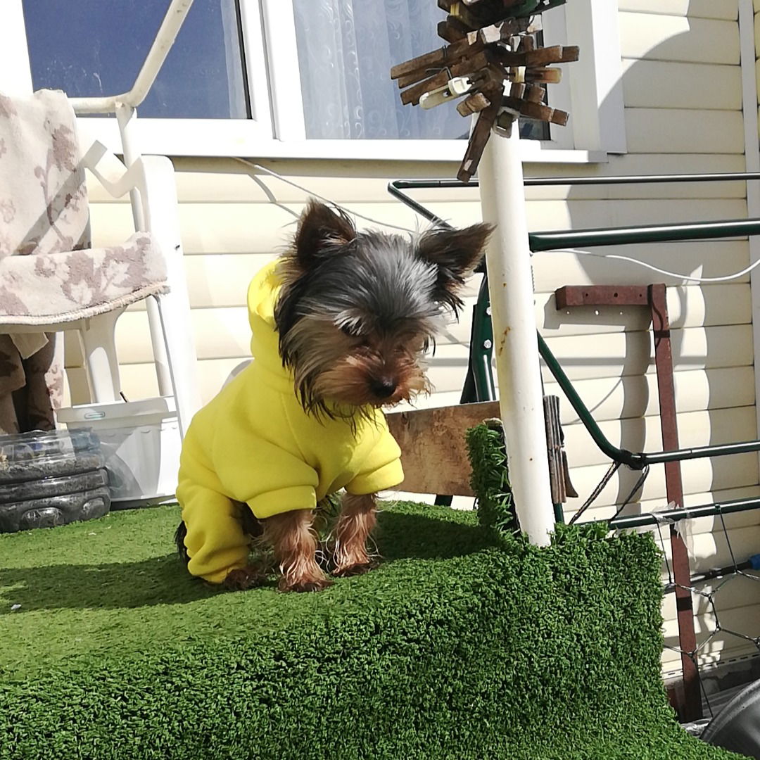 Тамара Борченкова