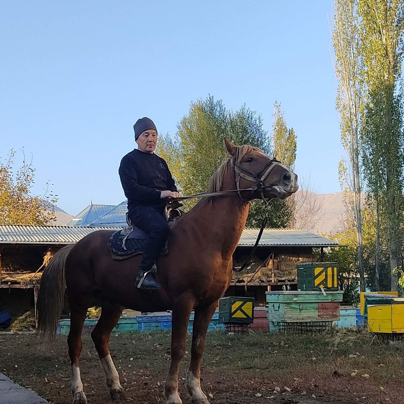 Алымбек Аталиев