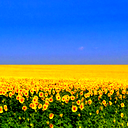 Андрій. Ми З України!