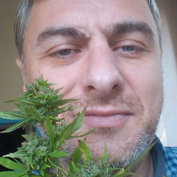 Паата Петров