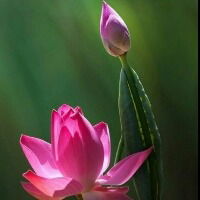 Ольга Александровна