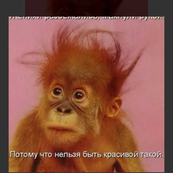 Просто Чудо