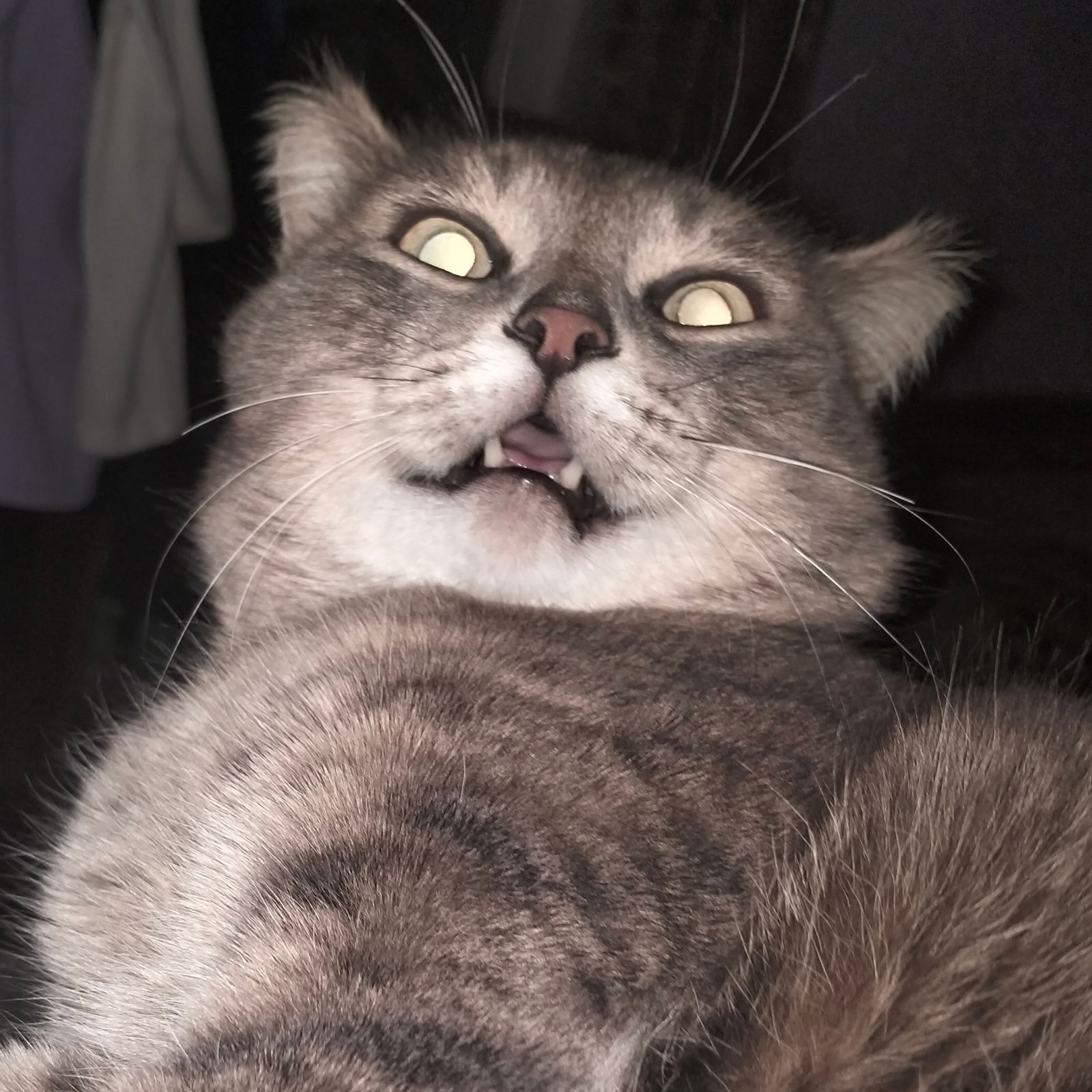 Ирэн Понарошку