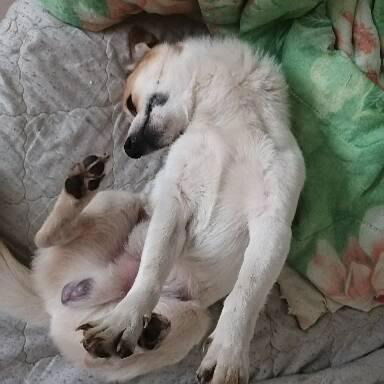 Ольга Никонова