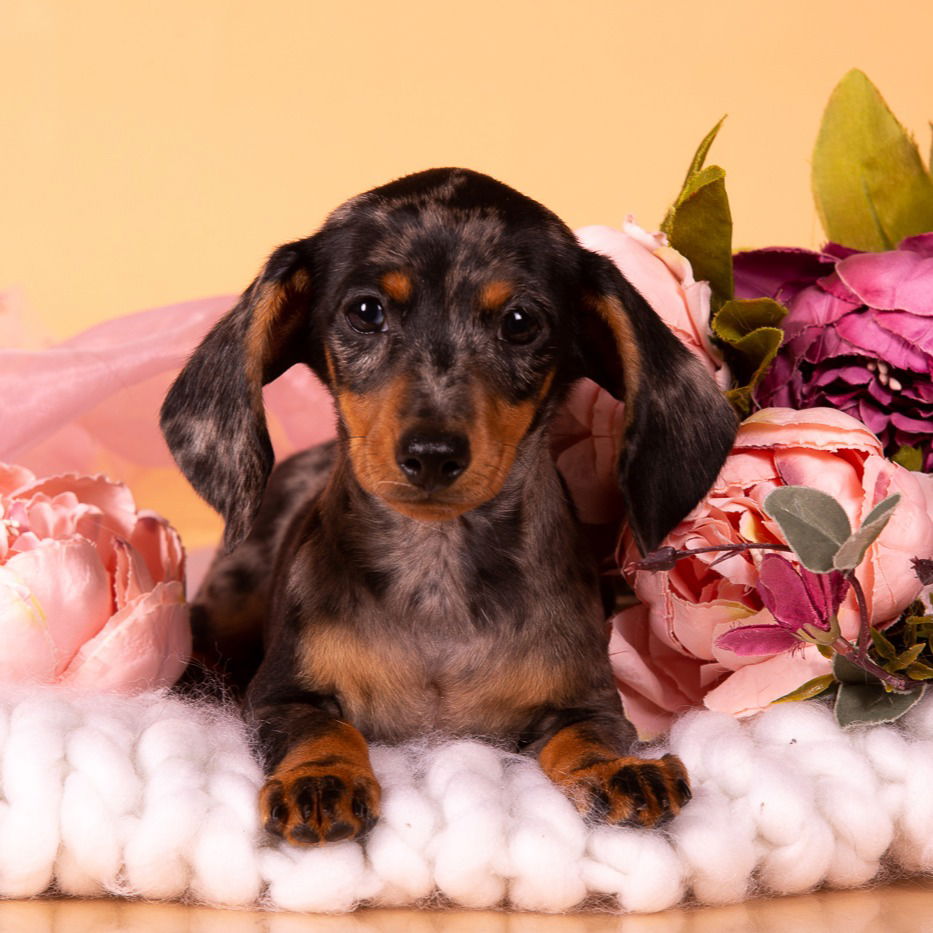 Татьяна Пономарёва