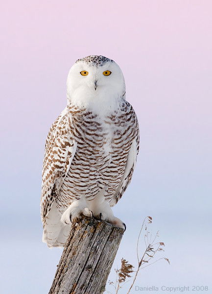 Игорь Савенков