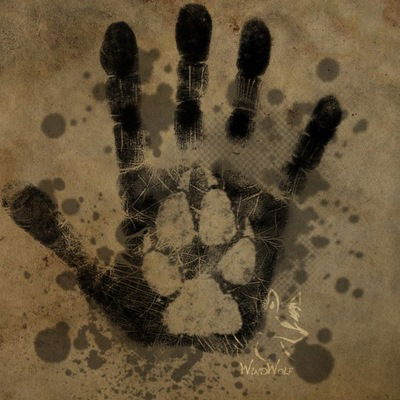 Сергей Савкин