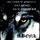 Бек Алимов