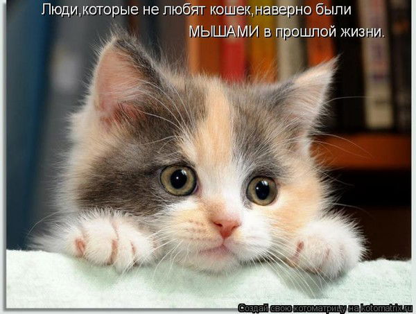 Елена Кузьмина