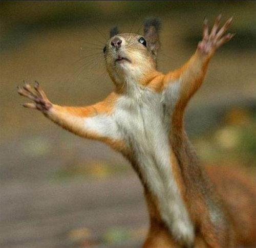 Фоат Идрисов