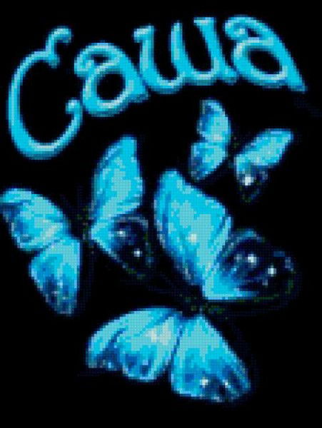 Клеодита Звёздная