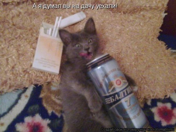 Станислав Титов