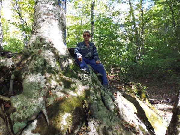 Андрей Андреев