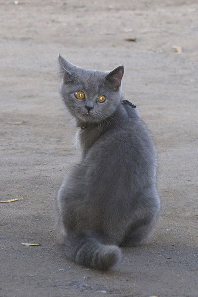 Евгений Гладунов