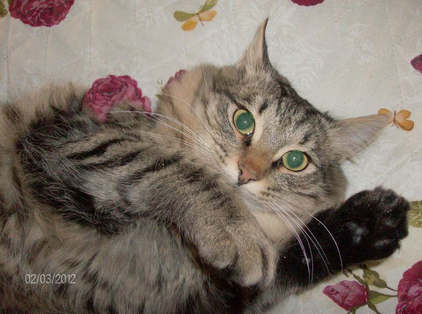 Людмила Гудаева