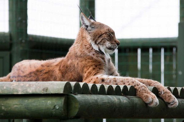 Сергей Герасименко