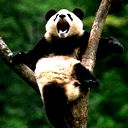 Сергей Кузьмичёв