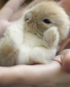 Айгуль Сабанова (Шаймерденова)