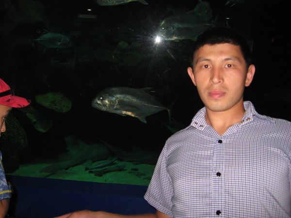 Кереев Беибит