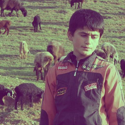 Машхуд Шодов