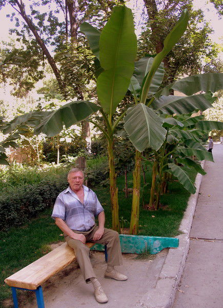 Владимир Орлов