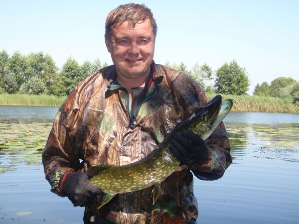 Александр Дубынин