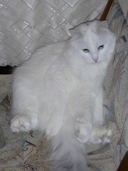 Ирина Носова