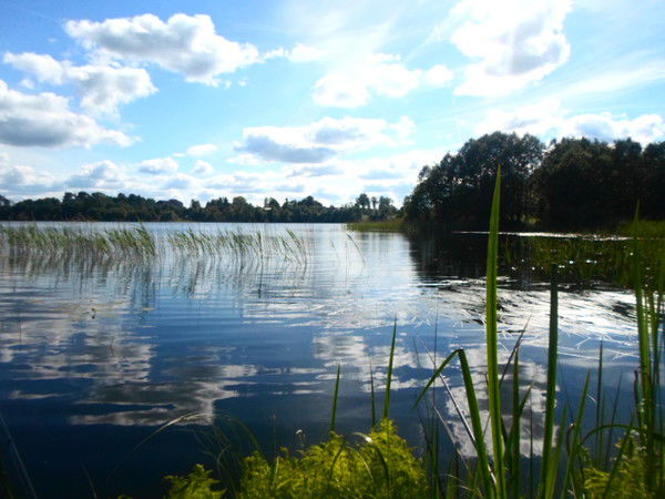 Полина Короткова