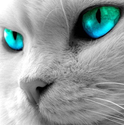 Настёна Гуреева