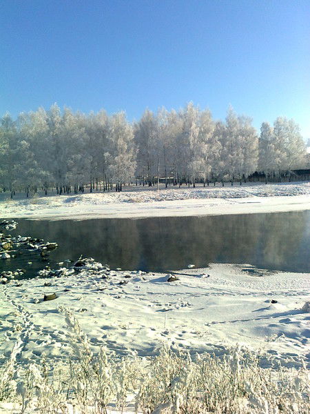 Николай Медведев