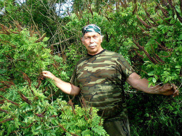 Александр Муссури