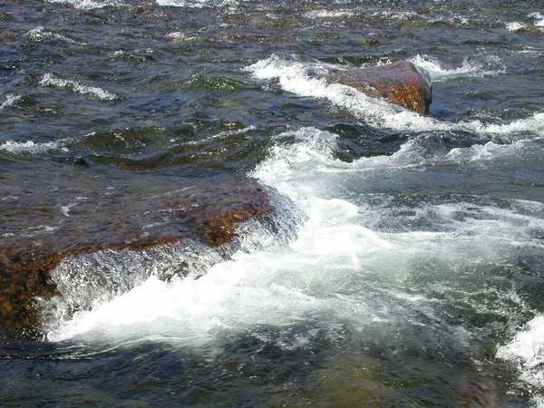 Ирина Дмитрюкова