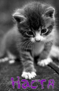 Настя Доможакова