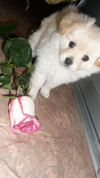 Челябинск Экспресс Деньги