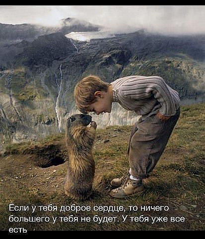 Александр Сурков