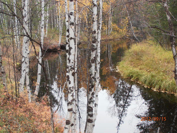 Любовь Григорьевна