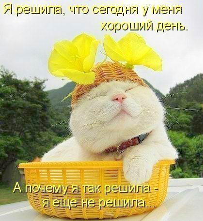 Ольга Шереметьева