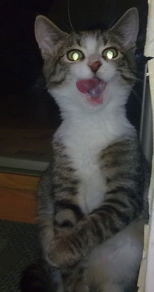 Эдуард Лошаков