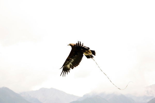 Аскар Булькеев