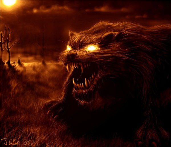 Роман Киприянов