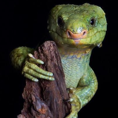 Виктор Белинчио