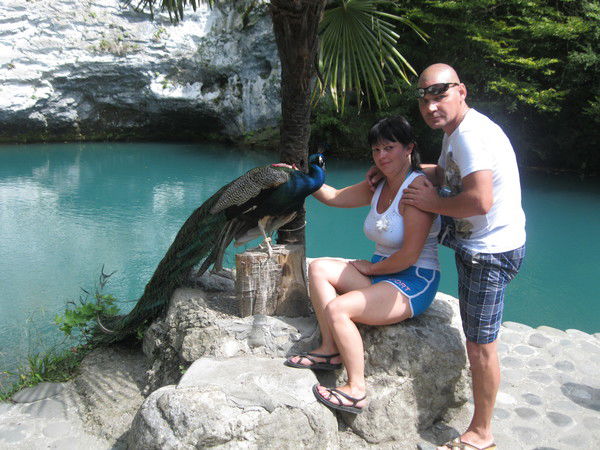 Елена Дмитриева