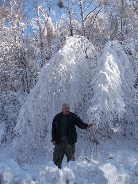 Александр Шаповалов