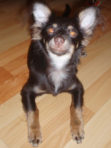 Зайцев Валерий